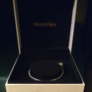 Pandora Silver Bracelet